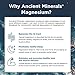 Ancient Minerals Magnesium Bath Flakes of Pure Genuine Zechstein Chloride – Resealable Magnesium Supplement Bag that will Outperform Leading Epsom Salts (8 lb)thumb 1