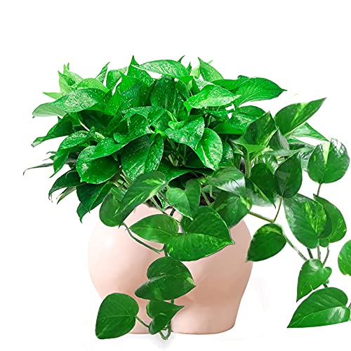 Filigan Pink Boho Vases for Dried Flowers, Unique Cute Resin Planter Pot for Succulent Plants with Drainage Hole, Modern Boho Home Decor Accents