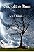 God of the Storm by N. G. Rudulph Jr.