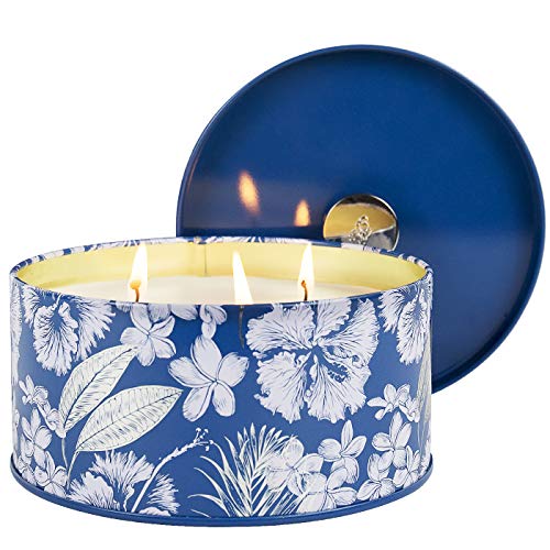 Large Scented Candle, 3 Wick Big Candle, Sandalwood Clean Cotton, 14Oz