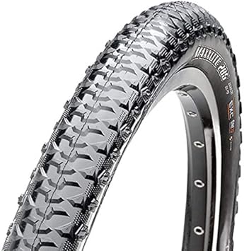 maxxis 29 2.0