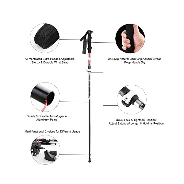 cleebourg trekking pole