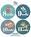 Baby Monthly Milestone Stickers (Set of 20) - Birth to 12 Months + 7 Bonus Achievement Stickers