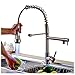 Rozin Single Hole Spring Kitchen Sink Faucet LED Light Sprayer Mixer Tap Brushed Nickel