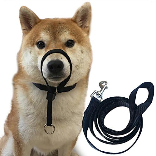 Dog Head Collar Halter Durable Painless No Pain No Pull Training Collars with Leash (L(16"-24"), Black)