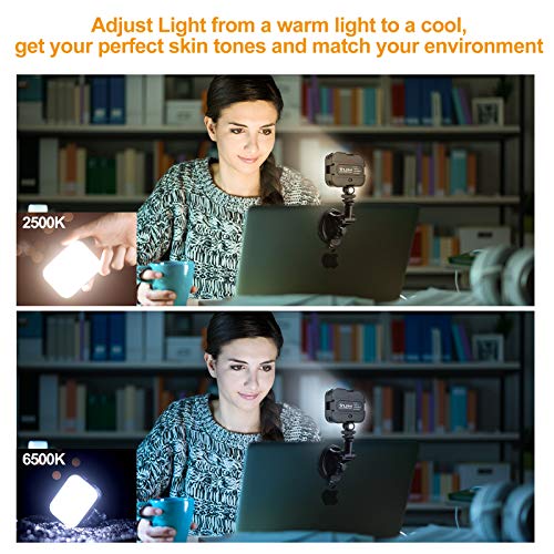 ULANZI Video Conference Lighting Kit, Zoom Lighting for Computer Video