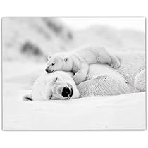 Amazon.com: Momma Bear Snuggle Polar Bear Photography - 11x14 ...