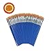 SUNKISTY Children's Art Paintbrushes, Little Painting Brushes with Plastic Handle for Kids Blue (Blue 50Pcs)