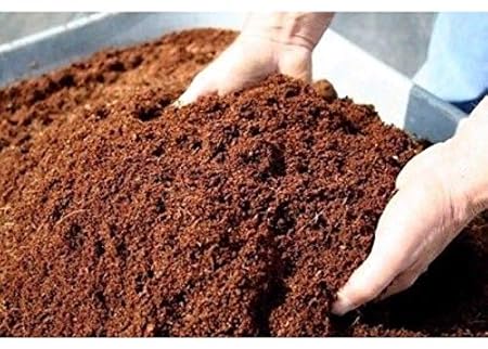 Creative Farmer Organic Neem Cake - Multi-Purpose Fertilizers (1 Kg)