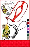 The AVIATOR Pet Bird Harness and Leash: X-Large Red