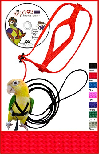 The AVIATOR Pet Bird Harness and Leash: X-Large Red