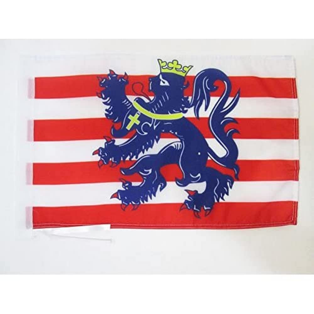 AZ FLAG - Bruges Flag - 18'' x 12'' - 100% Polyester Brugge Small Banner with Two Cords - Fade Resistant - Vivid Colors - 18x12 in - 45x30 Cm — image 1