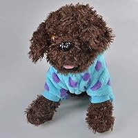 Blase Dragon Pull Pour Chien Avec Capuche Style Dessin Anime Chaud Et Mignon Amazon Fr Cuisine Maison