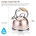 Tea Kettle Best 3 Quart induction Modern Stainless Steel Surgical Whistling Teapot - Pot For Stove Top (Rose)