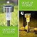 Solar Lights Outdoor, 12Pack Outdoor Solar Lights - Waterproof, Stainless Steel Solar Garden Lights, LED Solar Powered Pathway Lights Landscape Lighting, Perfect for Lawn, Yard, Driveway & Walkway