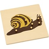 Elite Montessori Snail Puzzle