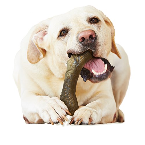 Nylabone Power Chew DuraChew Antler Rawhide Alternative Dog Chew Toy, Large