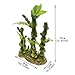 Saim Aquarium Artificial Bamboo Plants Decor Plastic Plant Betta Hideout for Aquarium Fish Tank Bonsai Ornament Green, Large,1Pcsthumb 1