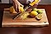 Deiss PRO Citrus Zester & Cheese Grater — Parmesan Cheese Lemon, Ginger, Garlic, Nutmeg, Chocolate, Vegetables, Fruits - Razor-Sharp Stainless Steel Blade, Wide, Dishwasher Safe