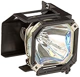 TV Lamp 915P043010 with Housing for Mitsubishi TV and 1-Year Replacement Warranty by Forcetek