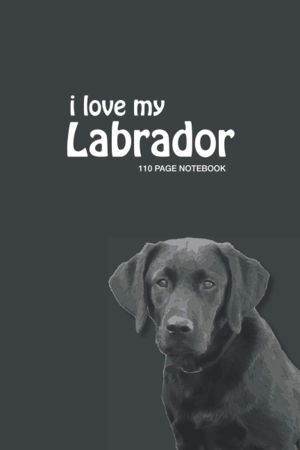 I love my Labrador Notebook: Notebook/Journal - 110 Ruled Pages (6" x 9")