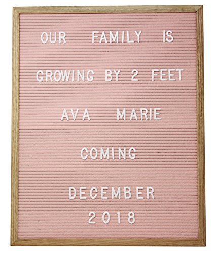 16 X 20 Changeable Letter Board - Pink Felt with Solid Oak Frame, Wall Mount, Canvas Bag, and 290 Characters - by Executive Office Solutions