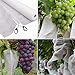 Agfabric Plant Covers Freeze Protection Floating Row Cover 6'x100' 0.55oz Plant Covers Freeze Protection Outdoor Plant Covers for Winter Frost Blankets,White