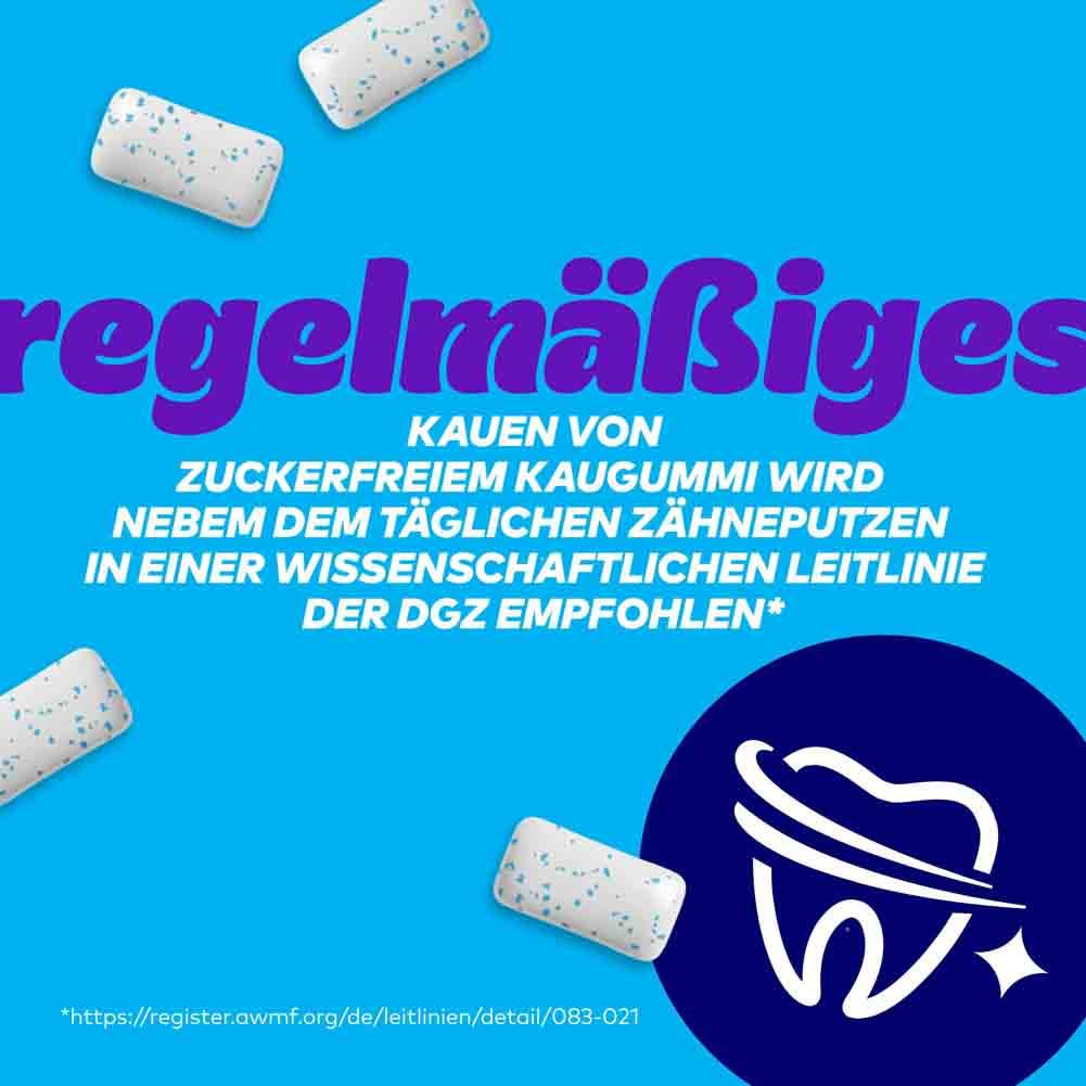 Extra Professional Mint Zuckerfreie Lutschpastillen, Multipack mit 6 x 70 Lutschbonbons, Süßigkeiten mit Minzgeschmack, Xylitol Mints, Lutschbonbons für frischen Atem 8