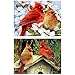 HaiMay 2 Pack DIY 5D Diamond Painting by Number Kits Full Drill Round Rhinestone Embroidery Pictures Arts Craft for Home Wall Decoration, Birds (12 x 16inch)