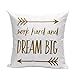 Highpot Young Pillow Simple Animals/Letters Pillowcase, Christmas Stylish Minimalist Style Logo Square Cushion Cover (C4)