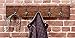 Bleecker Station Rustic Style 5-Hook Wooden Coat Rack, Distressed Dark Brown with Aged Brass Hooks, Solid Wood, Wall Mounted, Vintage Entryway Coat Rack, Large, 30
