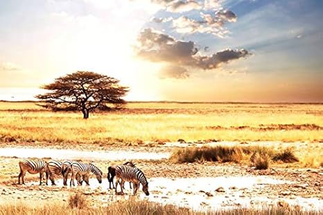 Amazon アート印刷 絵画風 壁紙ポスター はがせるシール式 アフリカの動物のシマウマのサバンナ 写真 特大 絵画 壁飾り キャンバス ステッカー 90cmx60cm ウォールステッカー オンライン通販