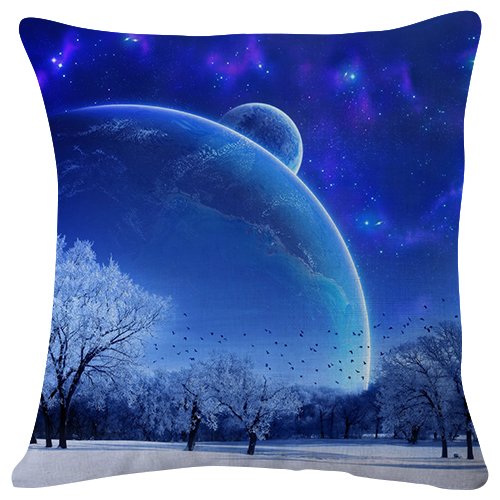 Amazon Com Nature Winter Light Bright Throw Pillow Case Cushion