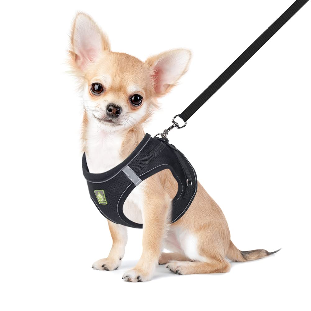 FEimaX Dog Harness and Leash Set for Small Medium Dog Cat No Pull Adjustable Soft Mesh Chihuahua Chest Harness Puppy Reflective Step-in Safety Vest for Outdoor Walking