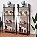 Tangkula 4-Tier Ladder Shelf, Ladder Bookcase Indoor & Outdoor Wood Bookshelf, Display Shelves, Plant Flower Stand Shelf (2)