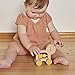 Petit Collage Wooden Push Along Animal Car Lion