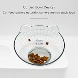 Marchul Cat Bowls Gravity Water Bottle Tilted Raised Feeding Bowls view 3