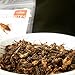 Cricket Bites: 3-Pack of Roasted Original Flavor Edible Insects (Made in Portland, Oregon) by Cricket Flours