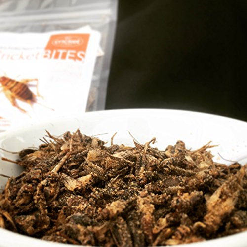 Cricket Bites Gift 5Pack of Assorted Flavors (North American Crickets