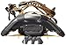 Atlas Snowshoe Company Women's Rendezvous Elektra Snowshoe Kit