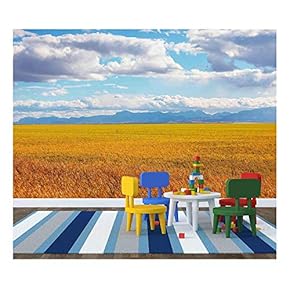 Fields - Removable Wall Mural | Self-Adhesive Large Wallpaper - 66x96 inches