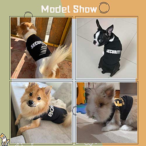 dog clothes male