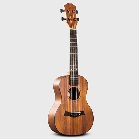 Instrumento musical de cuatro cuerdas mas pequeã±o que la guitarra | Las  mejores guitarras