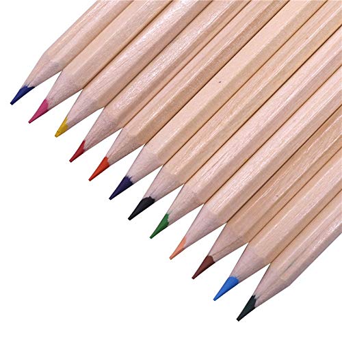 Dunnomart 12 pcs Wood Colored Pencil 1723mm Drawing Student Office Stationery Paper Cylinder Packaging
