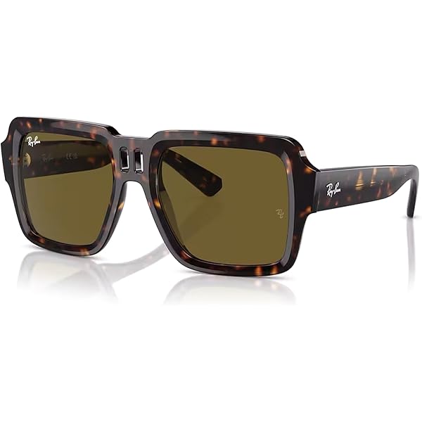Amazon.com: Ray-Ban RB4408 Magellan Sunglasses, Black/Dark  display picture 1