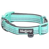 Blueberry Pet 6 Colors Soft & Comfy 3M Reflective Pastel Color Padded Dog Collar, Mint Blue, Medium, Neck 14.5"-20", Adjustable Collars for Dogs