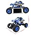 Fisca RC Car Remote Control Rock Crawler High Speed 4WD Off-Road Vehicle, 2.4Ghz 1:18 Dune Buggy Monster Truck Electric Hobby Fast Race Car with Rechargeable Battery Blue