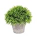 Juvale 3-Pack Mini Fake Plants Decoration, Potted Artificial Plant Pots for Indoor Outdoor Home Décor, with Paper Pulp Pots, 5 x 4.2 x 5 Inches