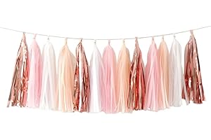 YESON Shiny Tissue Paper Tassels Party Tassel Garland Banner Decorations, DIY Kits,Rose Gold,Peach,Pink,White,Pack of 20