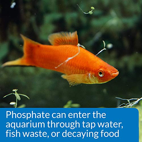 4 API+Phosphate+Test+Freshwater+Saltwater